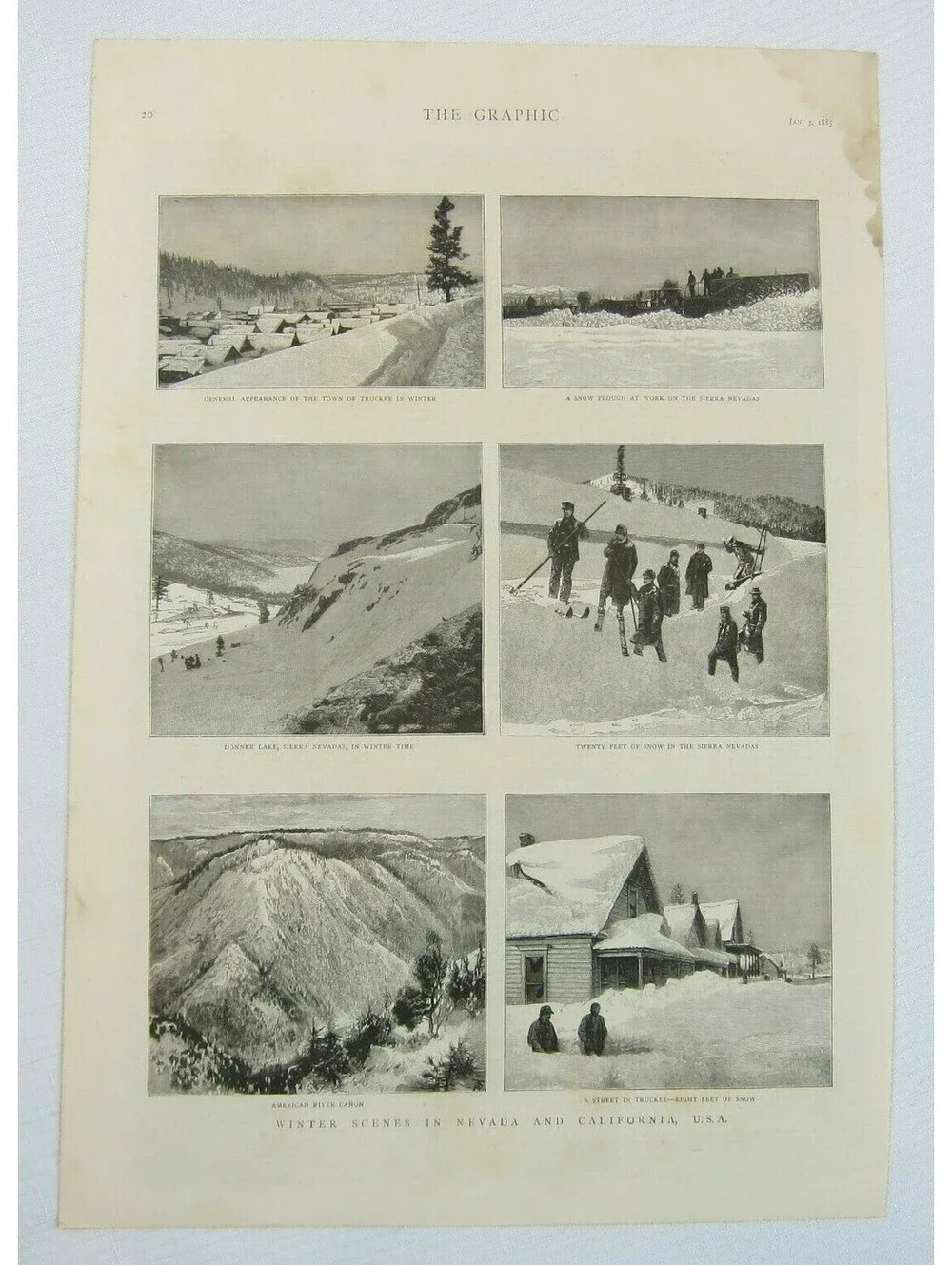 Antique 1885 Print